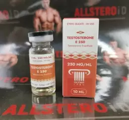 Testosterone E 300 (Olymp Labs)