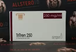 Olymp TriTren