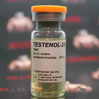 TESTENOL 250 (просрочка 08.22 - БЕЗ КОДОВ ПРОВЕРКИ) 250MG/ML - ЦЕНА ЗА 10МЛ