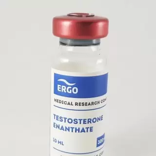 ERGO TESTOSTERONE ENANTATE 300MG/ML - ЦЕНА ЗА 10МЛ