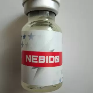 GSS NEBIDO