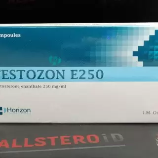 HORIZON TESTOZON E