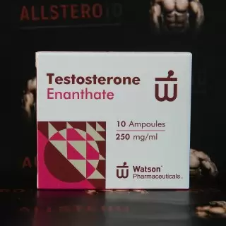 Watson New Testosterone Enanthate