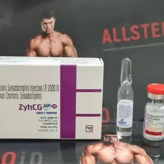 ZyHCG 2000iu (аптека индия)