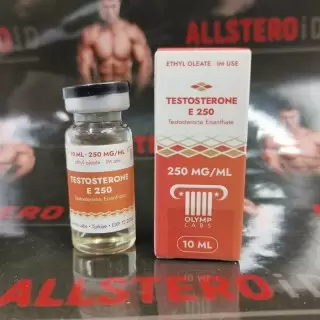 Olymp Testosterone E 250