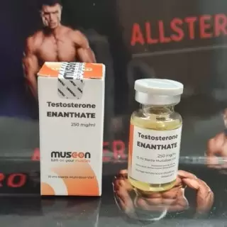 Musc-on Testosterone Enanthate 250mg/ml - цена за 10 мл