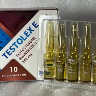 Testosterone Enantate 250mg/ml - цена за 10 амп