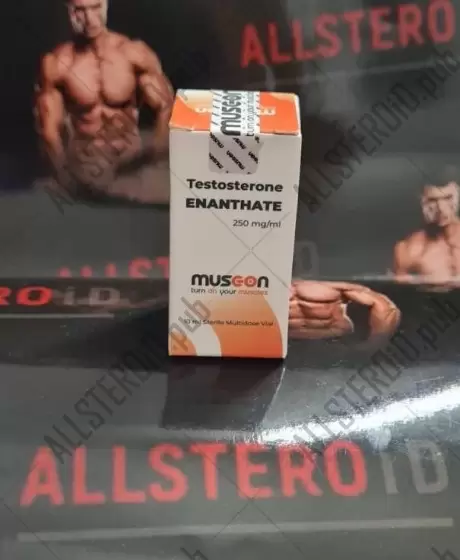 Musc-on Testosterone Enanthate 250mg/ml - цена за 10 мл