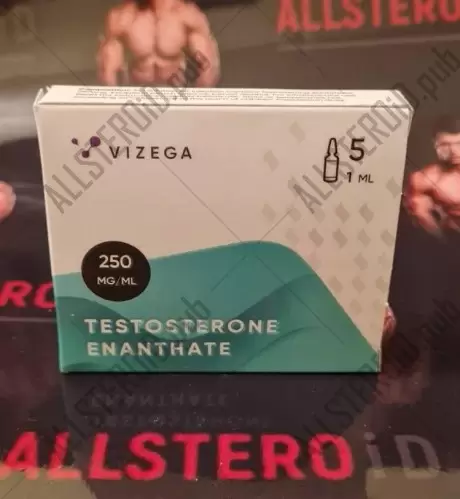 Vizega TESTOSTERONE E