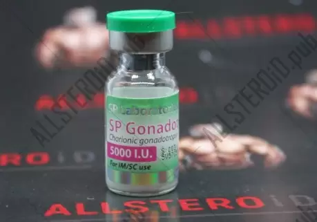 Gonadotropin 5000 ЕД (SP labs)