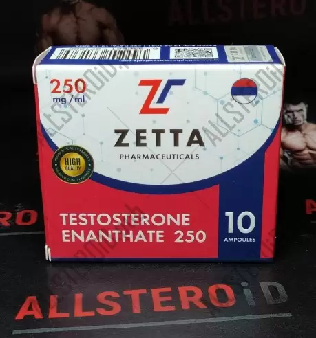 ZETTA TESTOSTERONE E