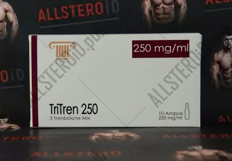 Olymp TriTren