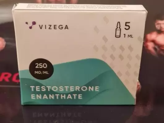 Vizega TESTOSTERONE E