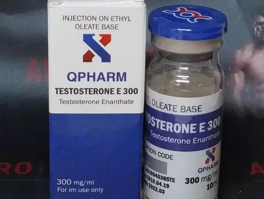 QPHARM TESTOSTERONE E