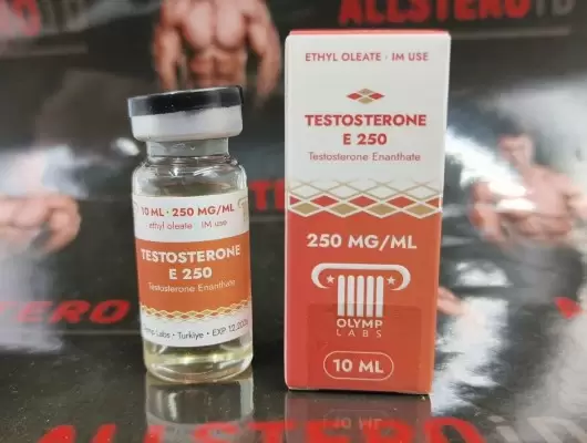 Testosterone E 300 (Olymp Labs)